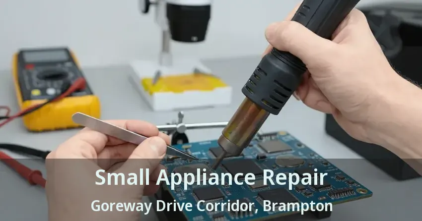 Small Appliance Repair Goreway Drive Corridor, Brampton - ON