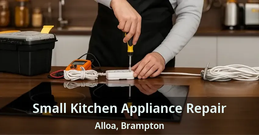Small Kitchen Appliance Repair Alloa, Brampton - ON