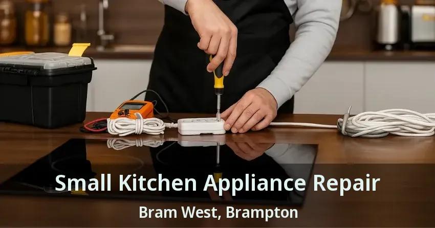 Small Kitchen Appliance Repair Bram West, Brampton - ON
