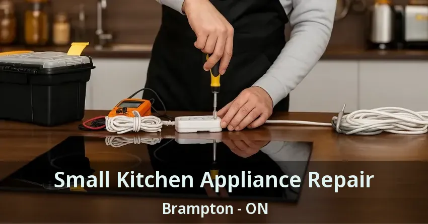 Small Kitchen Appliance Repair Brampton - ON