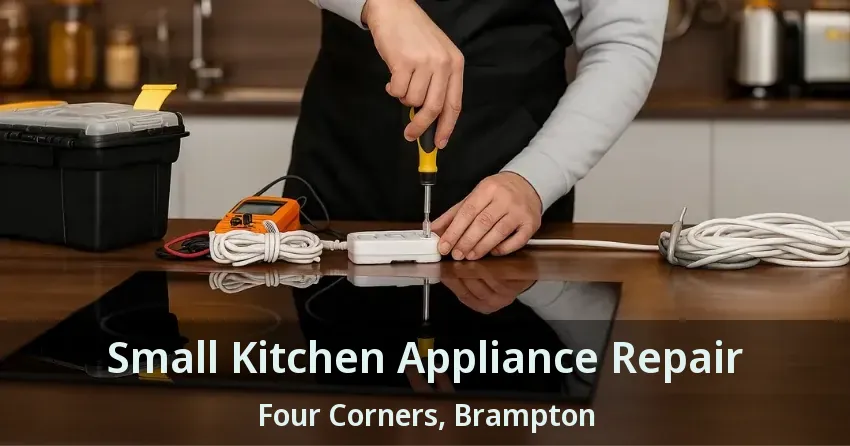 Small Kitchen Appliance Repair Four Corners, Brampton - ON