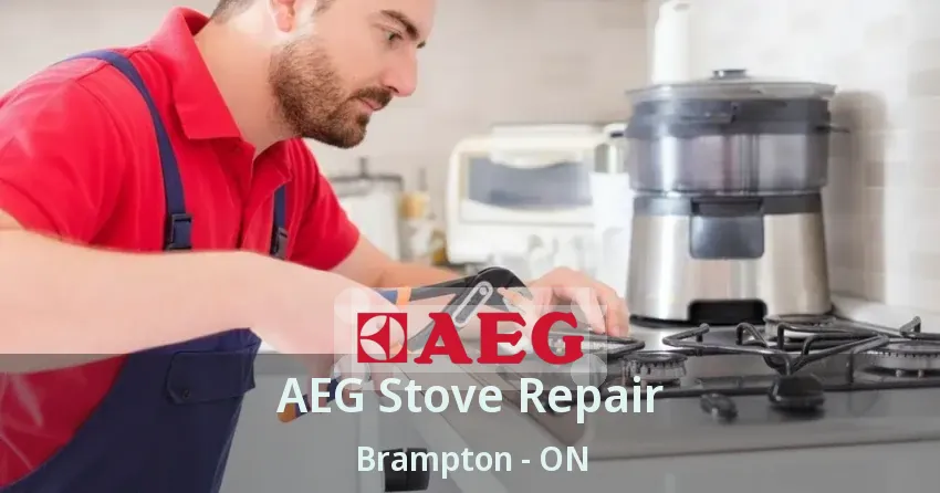 AEG Stove Repair Brampton - ON