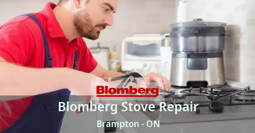 Blomberg Stove Repair Brampton - ON