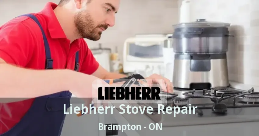 Liebherr Stove Repair Brampton - ON