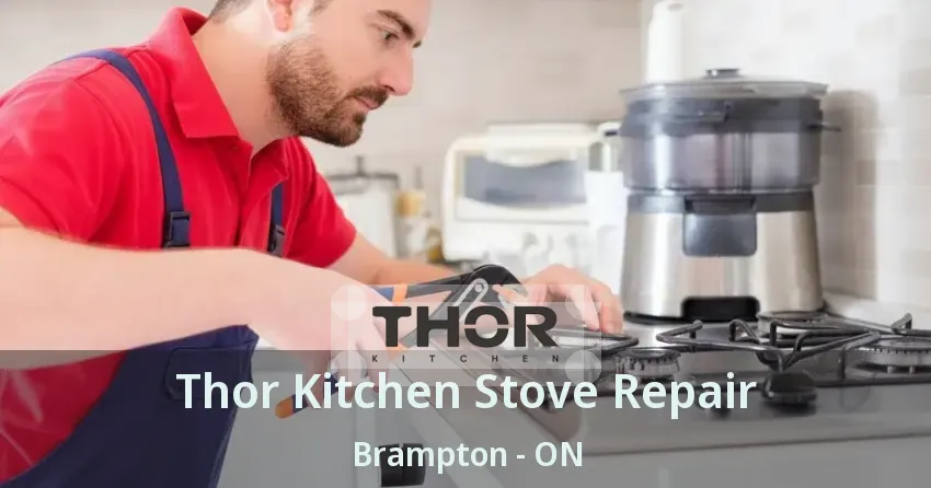 Thor Kitchen Stove Repair Brampton - ON