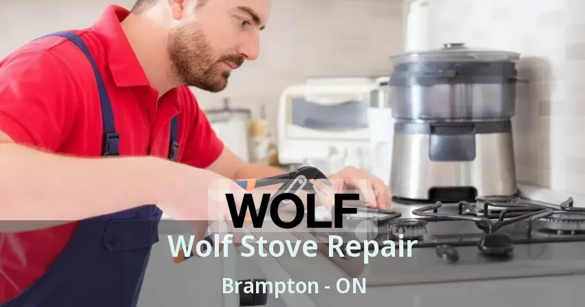 Wolf Stove Repair Brampton - ON