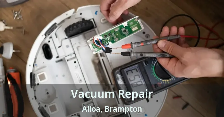 Vacuum Repair Alloa, Brampton - ON