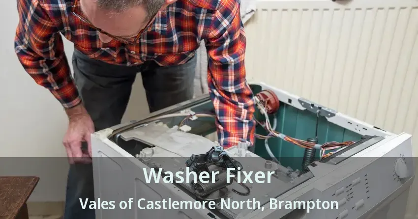 Washer Fixer Vales of Castlemore North, Brampton - ON