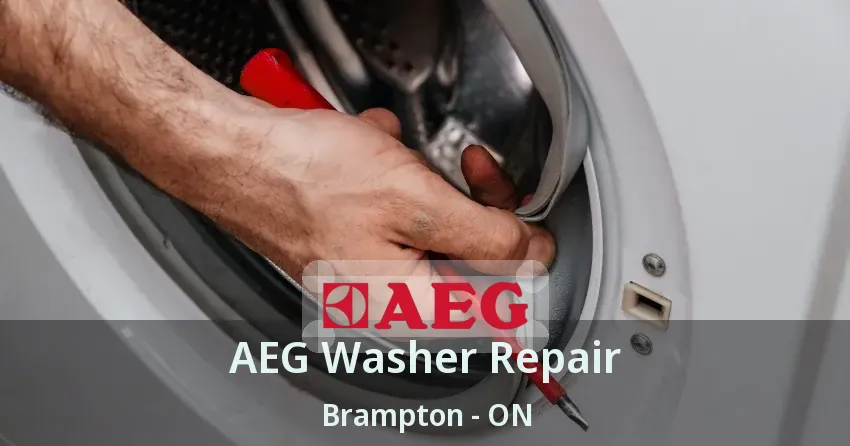 AEG Washer Repair Brampton - ON
