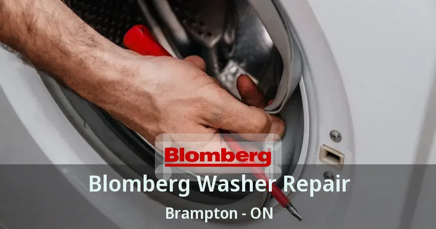 Blomberg Washer Repair Brampton - ON