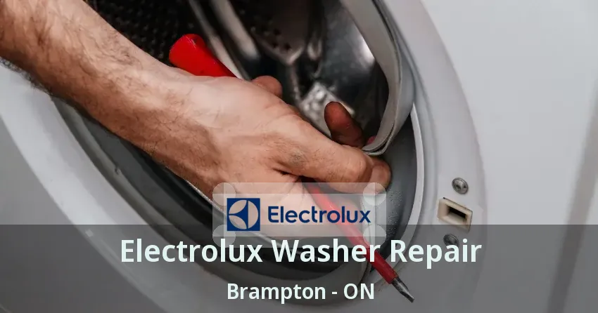 Electrolux Washer Repair Brampton - ON