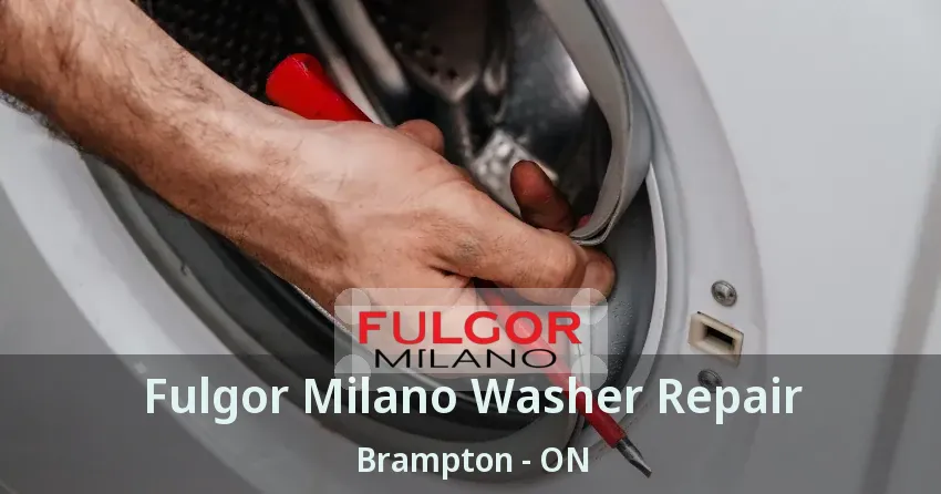 Fulgor Milano Washer Repair Brampton - ON