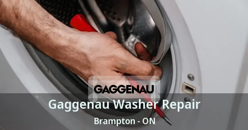 Gaggenau Washer Repair Brampton - ON