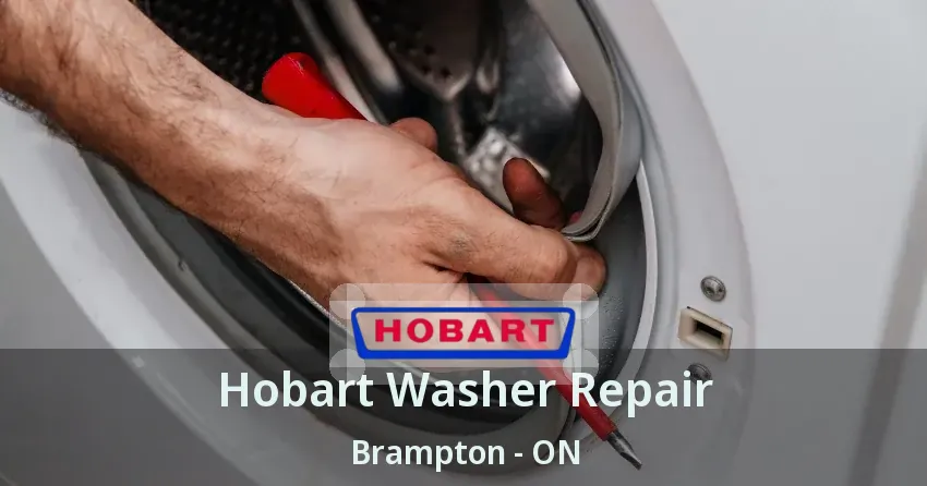 Hobart Washer Repair Brampton - ON