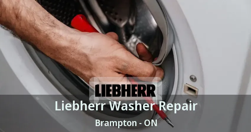 Liebherr Washer Repair Brampton - ON