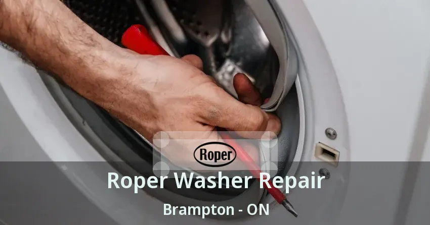 Roper Washer Repair Brampton - ON