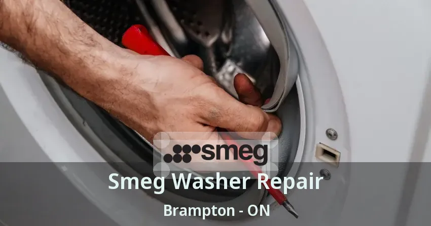 Smeg Washer Repair Brampton - ON
