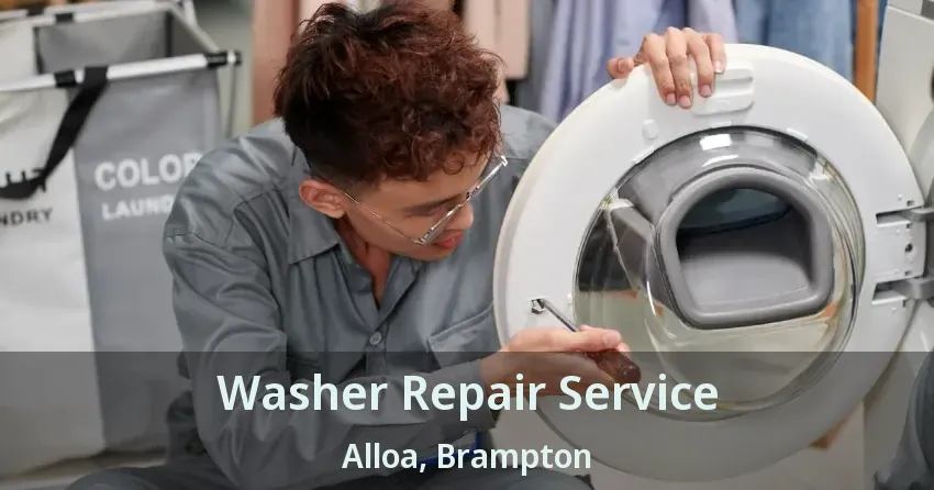 Washer Repair Service Alloa, Brampton - ON