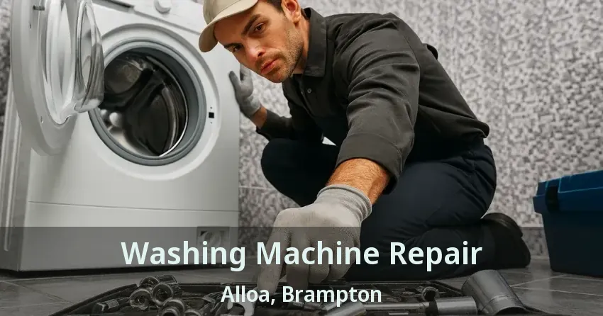 Washing Machine Repair Alloa, Brampton - ON